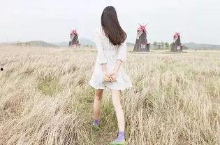 娱乐吃瓜酱背影图片,一场视觉与情感的邂逅