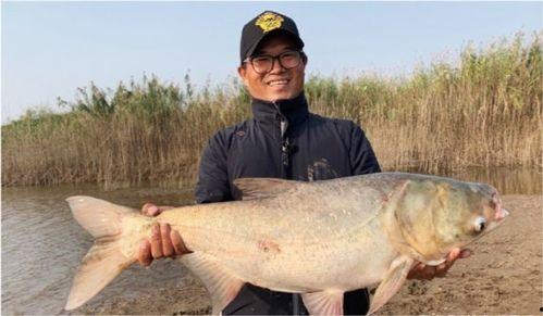 娱乐吃瓜酱钓鱼,揭秘钓鱼圈的那些事儿