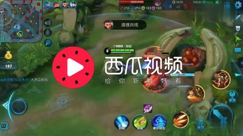 娱乐吃瓜号的背景音乐是什么