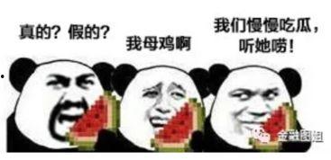 娱乐吃瓜酱打电话,揭秘娱乐圈最新热点事件