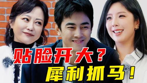 娱乐吃瓜小将王惠小说,娱乐圈的吃瓜小将，揭秘明星背后的故事