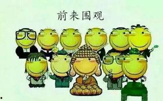 我去吃瓜,跟随“吃瓜群众”探寻明星幕后故事