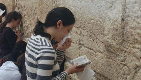 娱乐吃瓜君与七爸