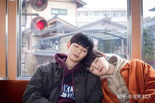 娱乐圈吃瓜小说双男主推荐,甜蜜互动，揭秘幕后风云